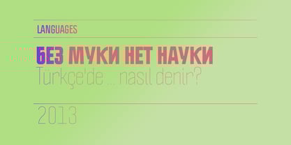 Politica Font Poster 11