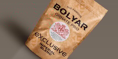 FM Bolyar Ornate Pro Font Poster 5
