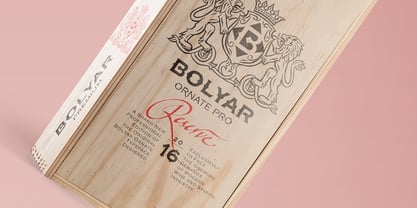FM Bolyar Ornate Pro Font Poster 6