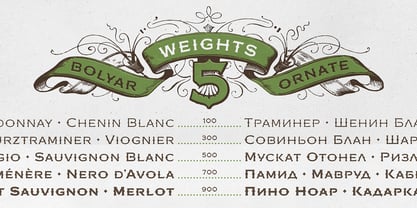 FM Bolyar Ornate Pro Font Poster 10