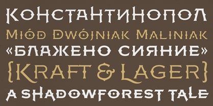 FM Bolyar Ornate Pro Font Poster 14