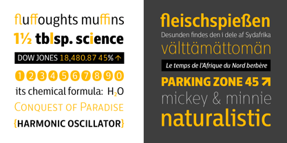 Centrale Sans Condensed Font Poster 5