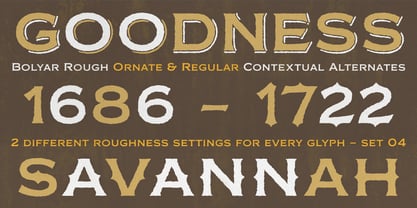 FM Bolyar TypeCraft Font Poster 15