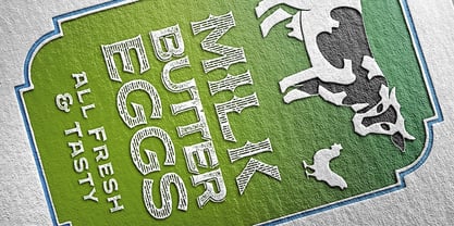 FM Bolyar TypeCraft Font Poster 14