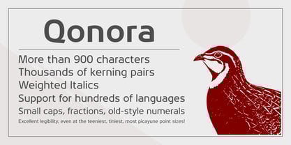 Qonora Font Poster 2