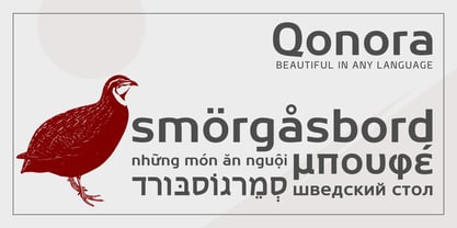 Qonora Font Poster 4