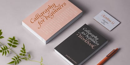 Illusion Font Poster 5