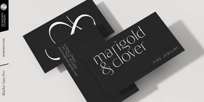 Blacker Sans Pro Font Poster 12