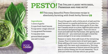 Basil Font Poster 7