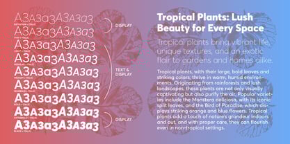 Averta Standard PE Font Poster 6